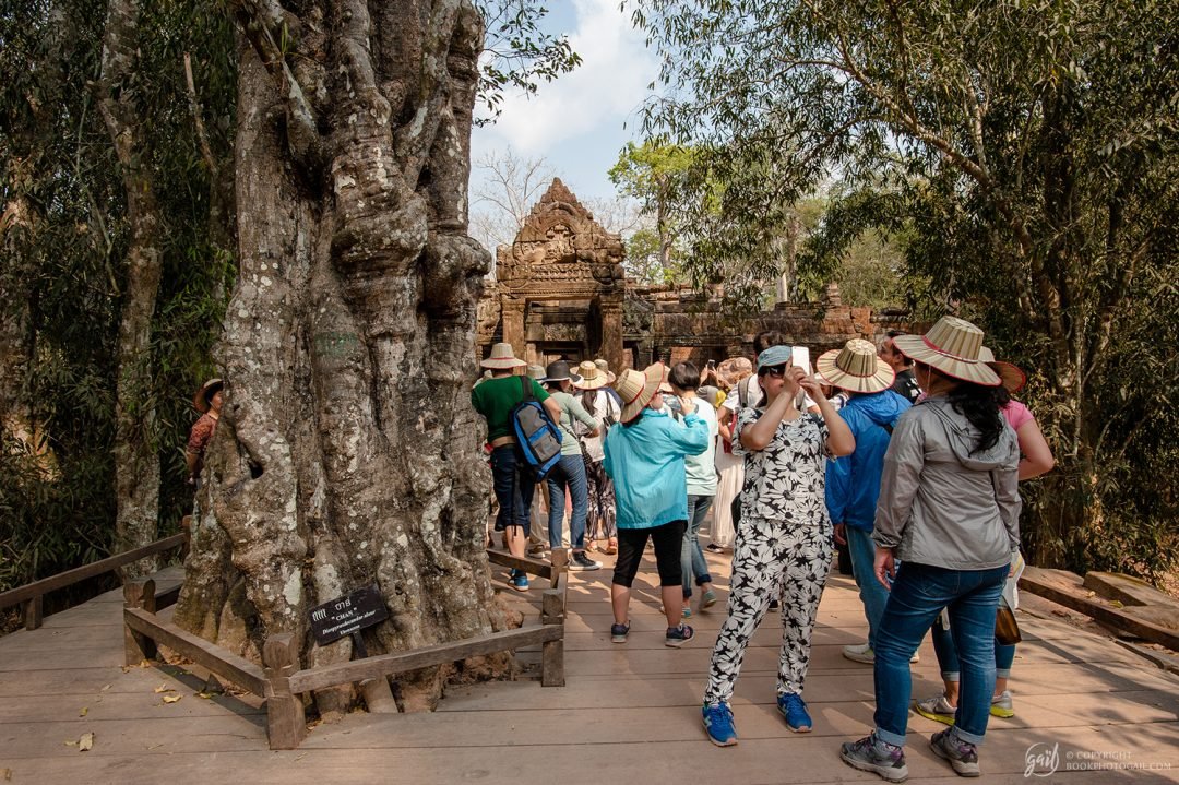 Groupe de touristes chinois au temple de Ta Prohm