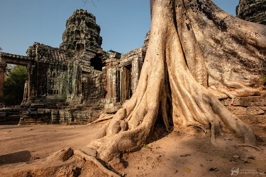 Le temple de Banteay Kdei sous les racines
