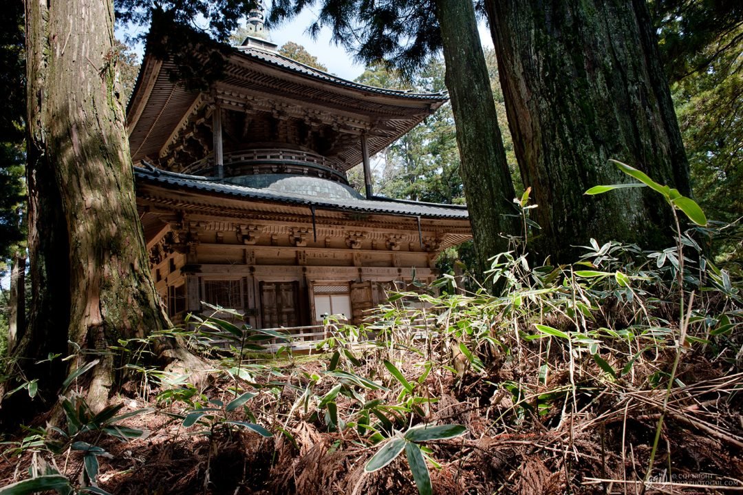 Temple Sai-to, Koya San