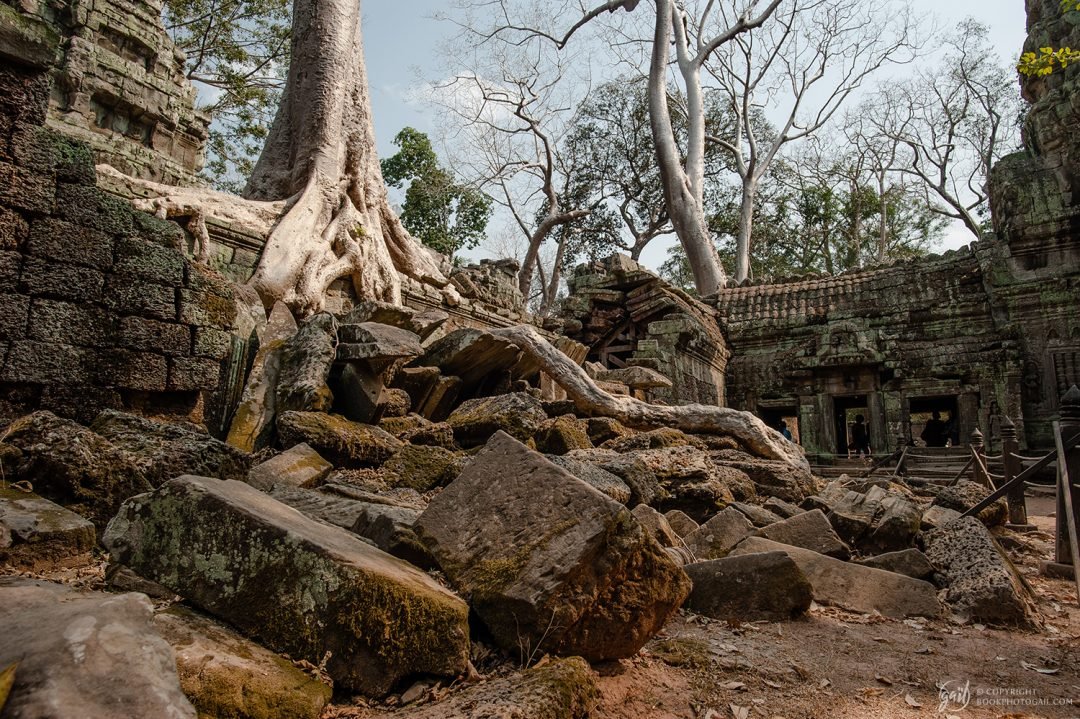 Temple de Ta Prohm